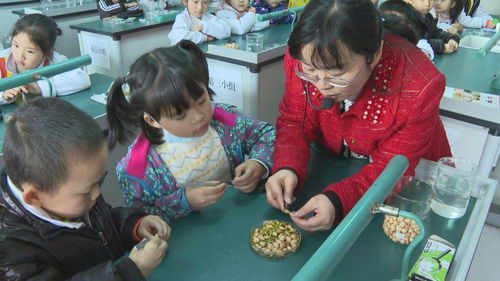 課后延時(shí)服務(wù) 以美術(shù)輔導(dǎo)破解“四點(diǎn)半難題”