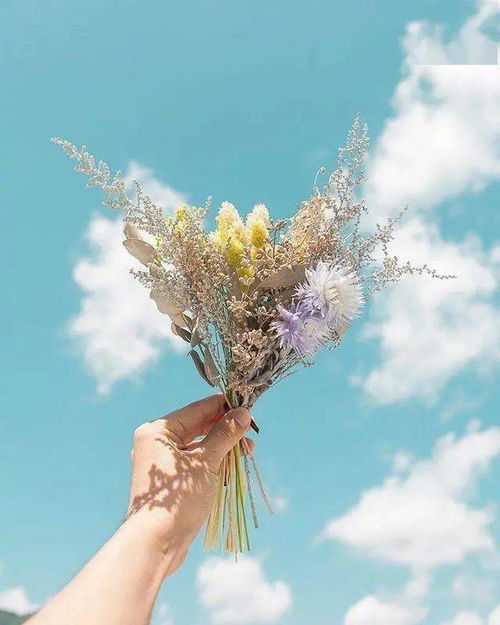 將時(shí)光釀成詩 那些溫暖治愈的文字與瞬間